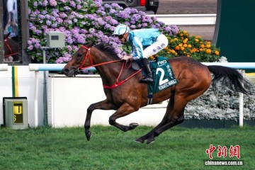 保利体育app下载-香港赛驹“浪漫勇士”四夺“女皇杯”冠军|赛马|香港沙田马场|体育比赛|保险|比赛_新浪体育_新浪新闻